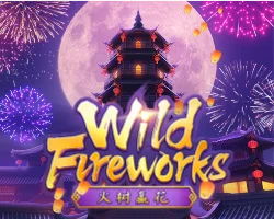 wild fireworks by lucia898